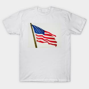 Red White & Blue American Flag T-Shirt